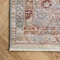 Nuloom Jayden Cardinal Medallion Area Rug 4ft x 6ft KKST01B-406 - alternate 4